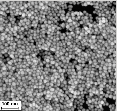 Oily Au nanoparticles 160nm