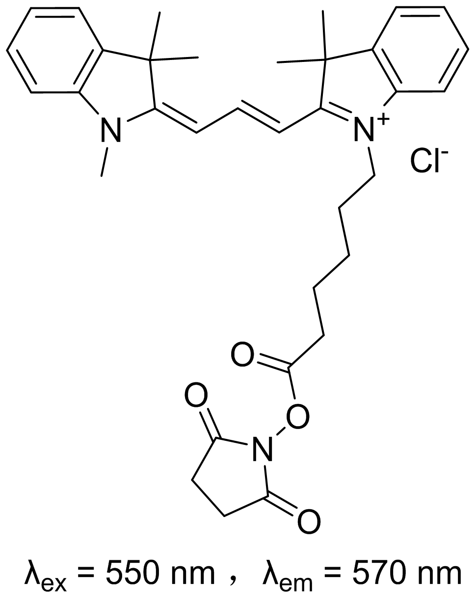 Cyanine 3- NHS ester