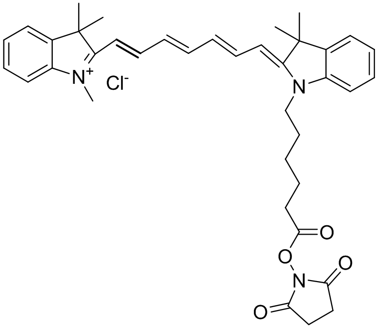 ݼȾCyanine7NHSester