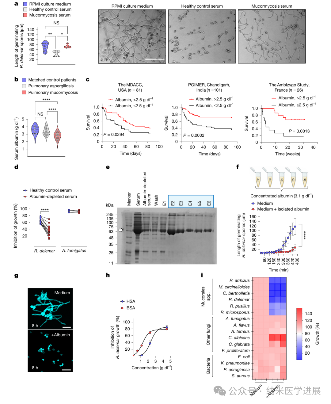 Nature Main Edition Highlights: When albumin levels are low, the risk of mold infection skyrockets! The truth behind it is 