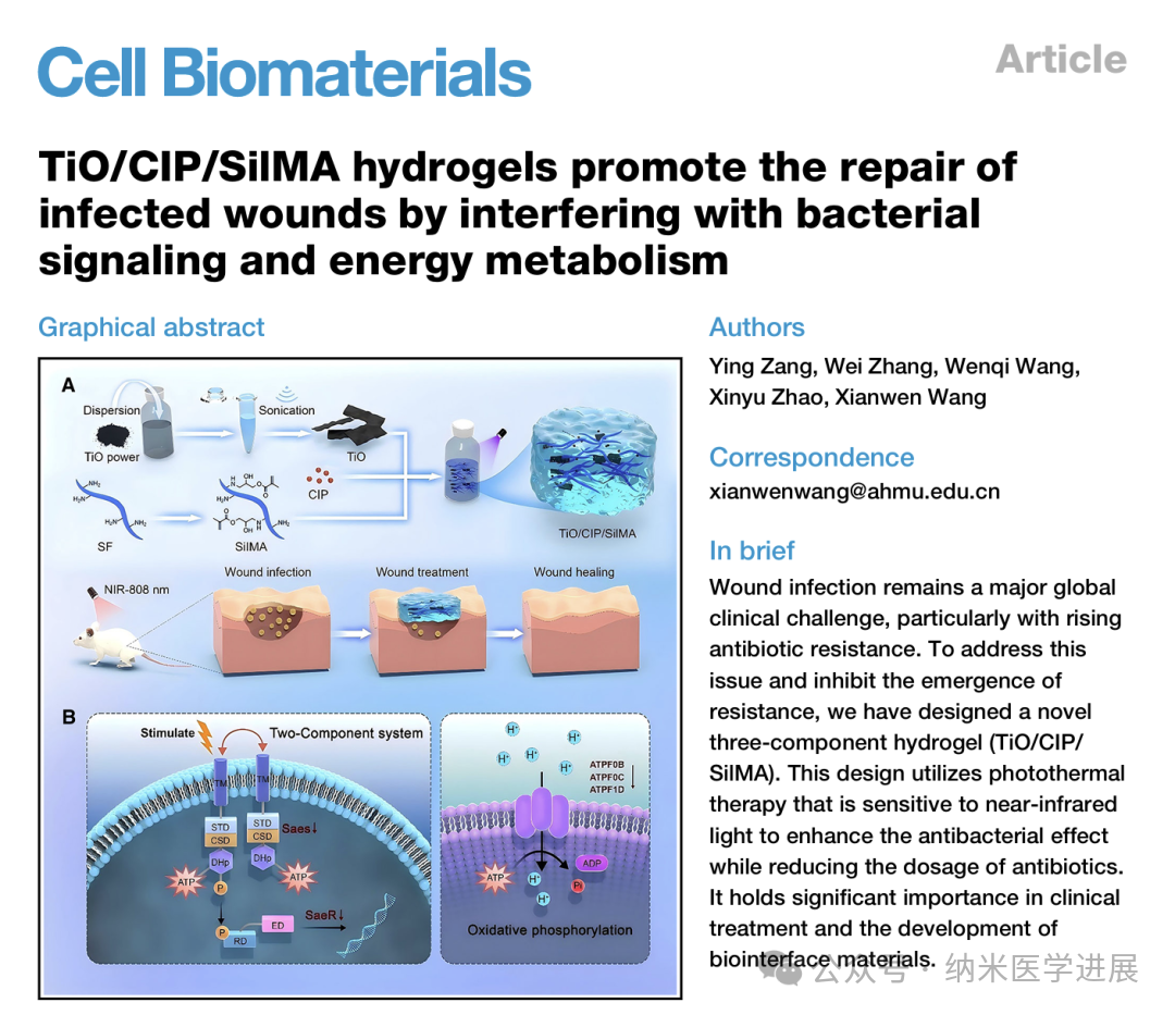 A research team led by Wang Xianwen from Anhui Medical University published in a Cell journal: A new type of hydrogel helps to efficiently repair infected wounds by interfering with bacterial metaboli