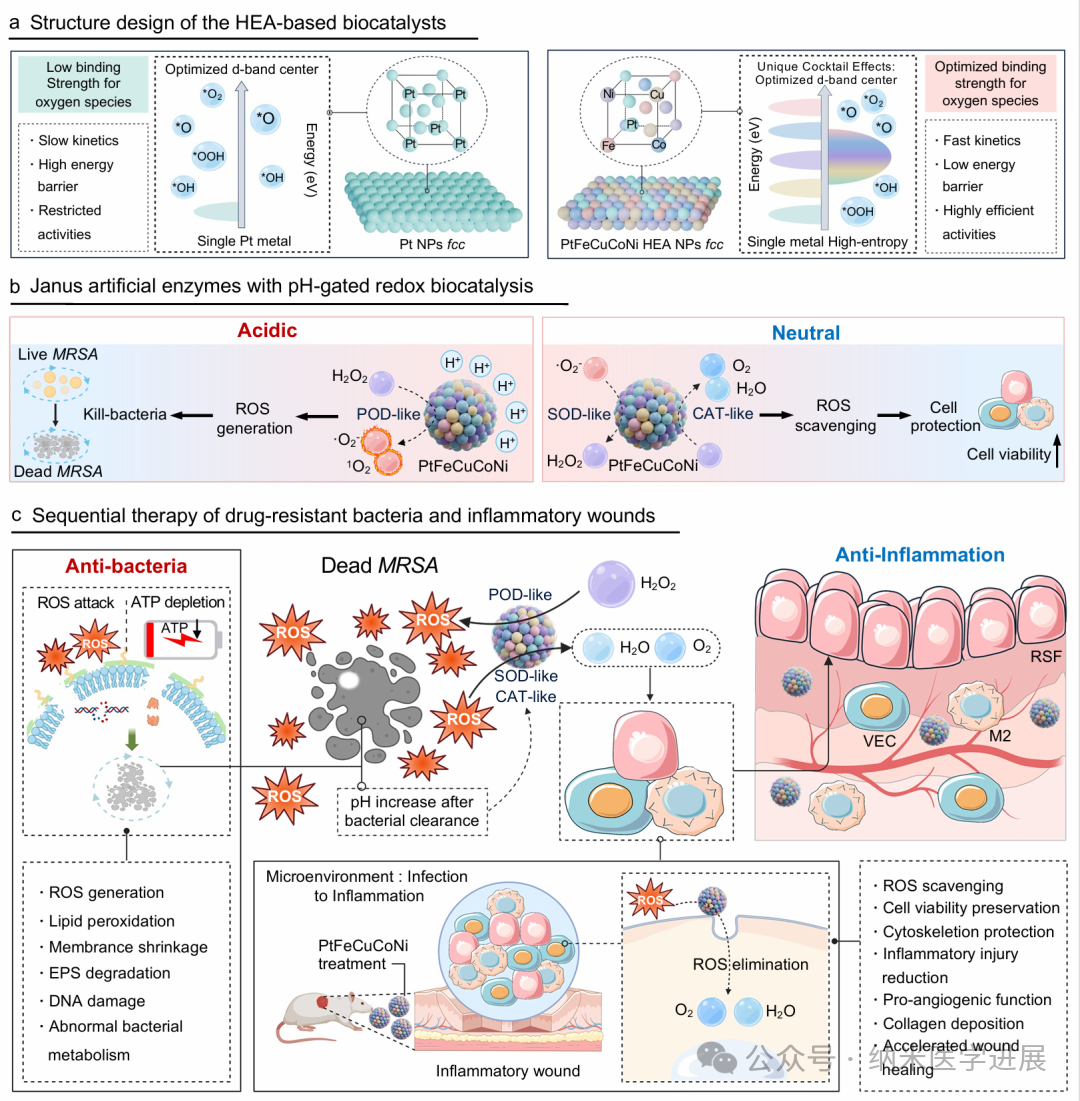 Janus�˹�ø�ٷ��ӿ����̳�/����Nature�ӿ������غϽ�Janus�˹�øʵ��pH�ſص�˳��������ԭ������ҩϸ����Ⱦ