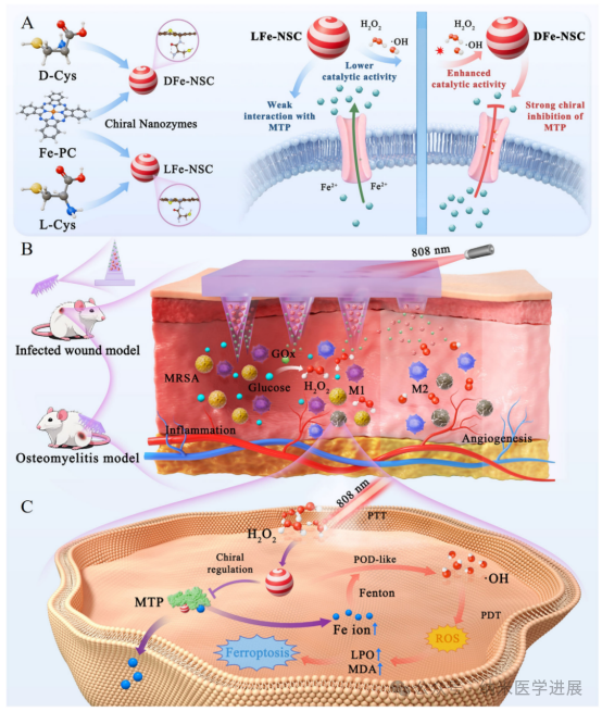 Professor Miao Qingqing from the University of Science and Technology of China in the journal 