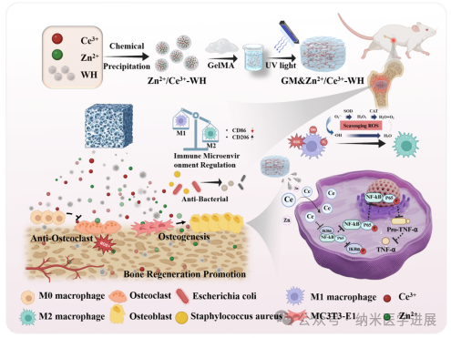 Professors Xu Xiaochen and Yang Huazhe from China Medical University, and Professor Xu Dake from Northeastern University in the journal 