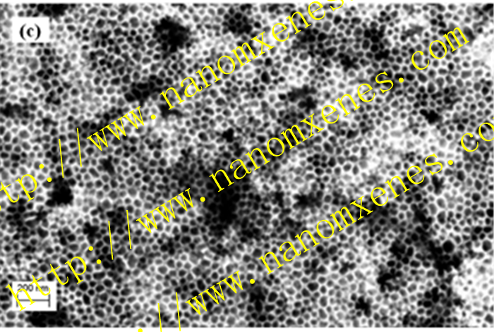 Nanoporous carbon powder - pore size 50nm - connection hole 10nm - specific surface area 250m2 / g - pore volume 1.7ml / g