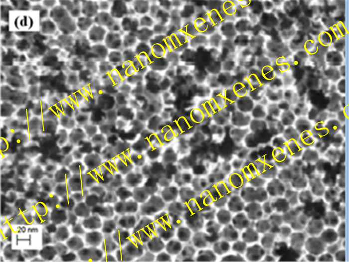 Nanoporous carbon powder - pore size 20nm - connection hole 7nm - specific surface area 450m2 / g - pore volume 2.1ml / g