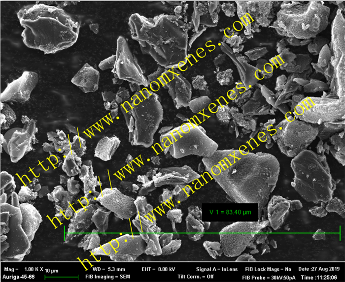 Nanoporous carbon powder - pore size 100nm - connection hole 11nm - specific surface area 50m2 / g - pore volume 0.2ml / g