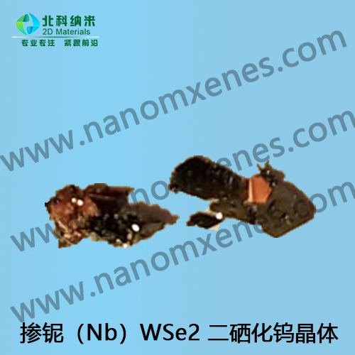 掺铌（Nb）WSe2 二硒化钨晶体