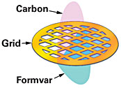 Removable square membrane / carbon membrane supporting copper mesh