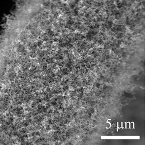 Carbon cloth loaded carbon nanotubes