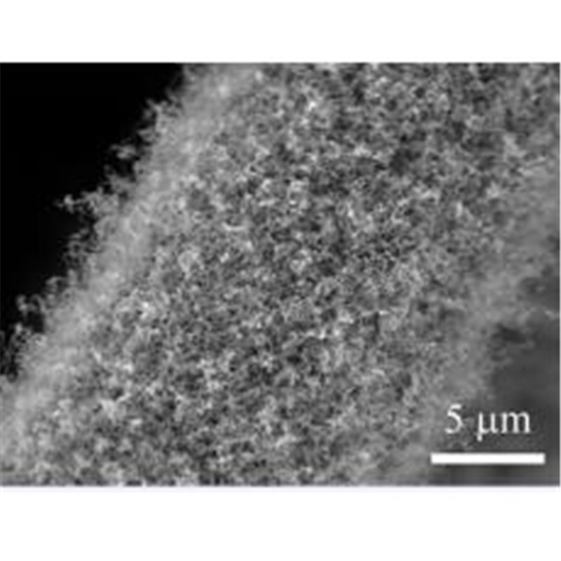 Foam nickel supported carbon nanotubes
