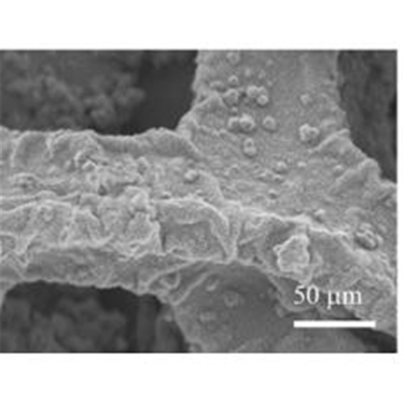 Foam Graphene Loaded Carbon Nanotubes