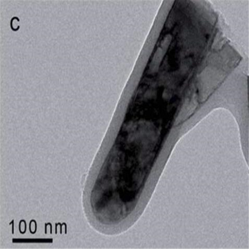 Polyaniline-coated titanium dioxide (Ppy@TiO2) nanorod array