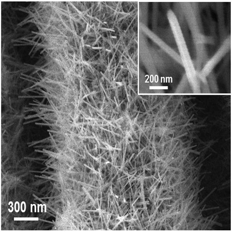 Tungsten Oxide (WO3) Nanowire Array