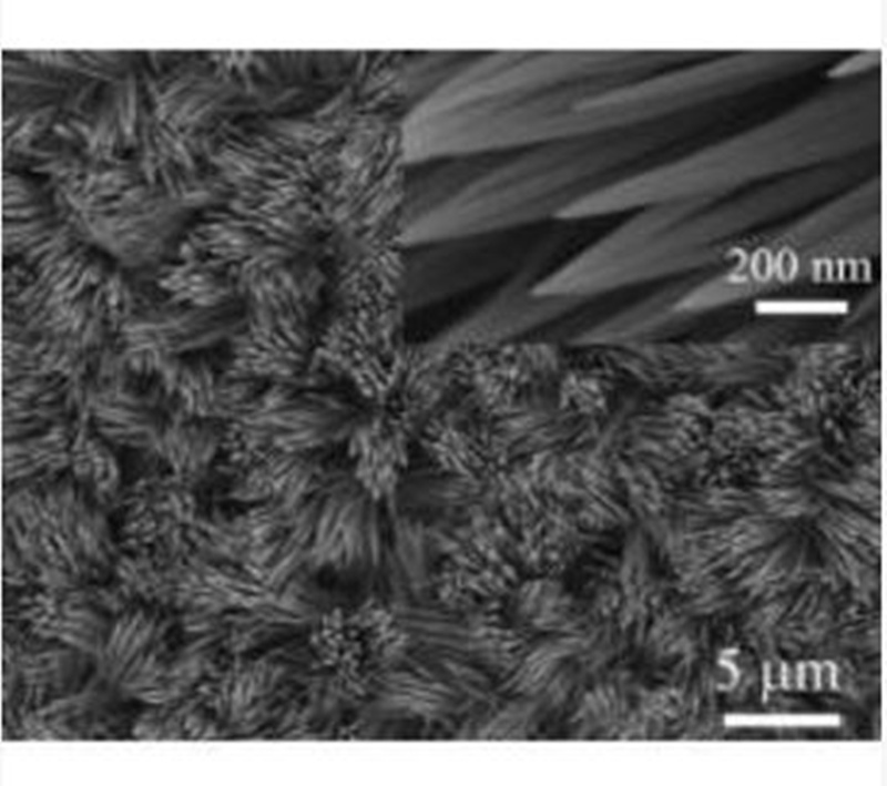 Stainless steel sheet loaded with basic cobalt carbonate nanowire array