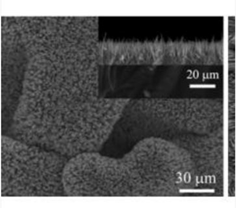 Conductive glass supported basic cobalt carbonate nanowire array