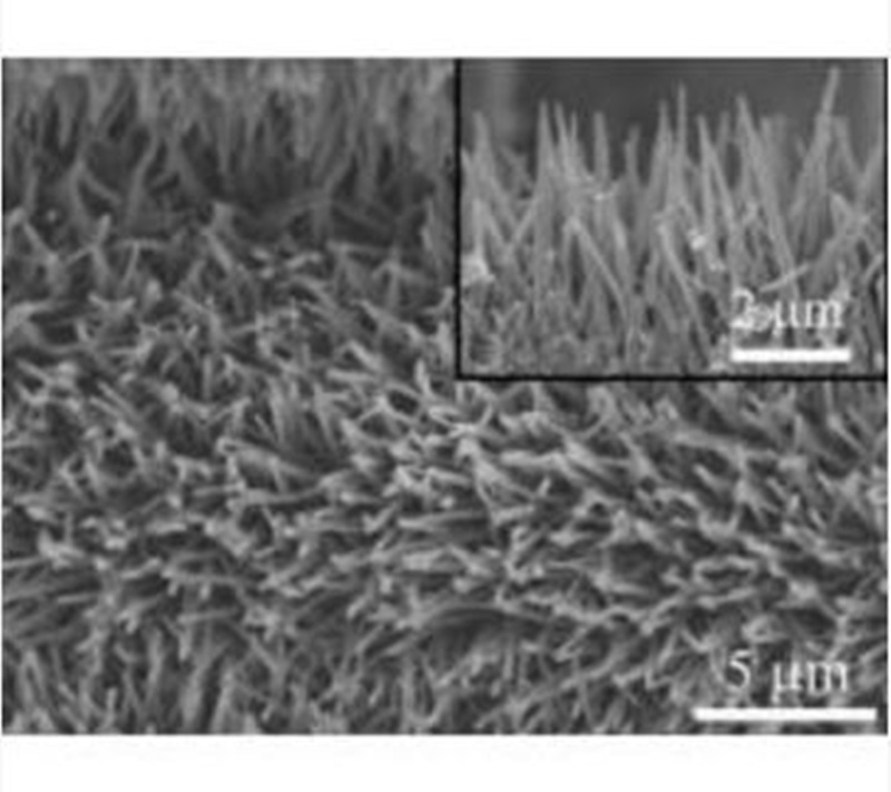 Carbon cloth supported cobalt oxide/polyaniline (CoO/PANI) core-shell nanowire array