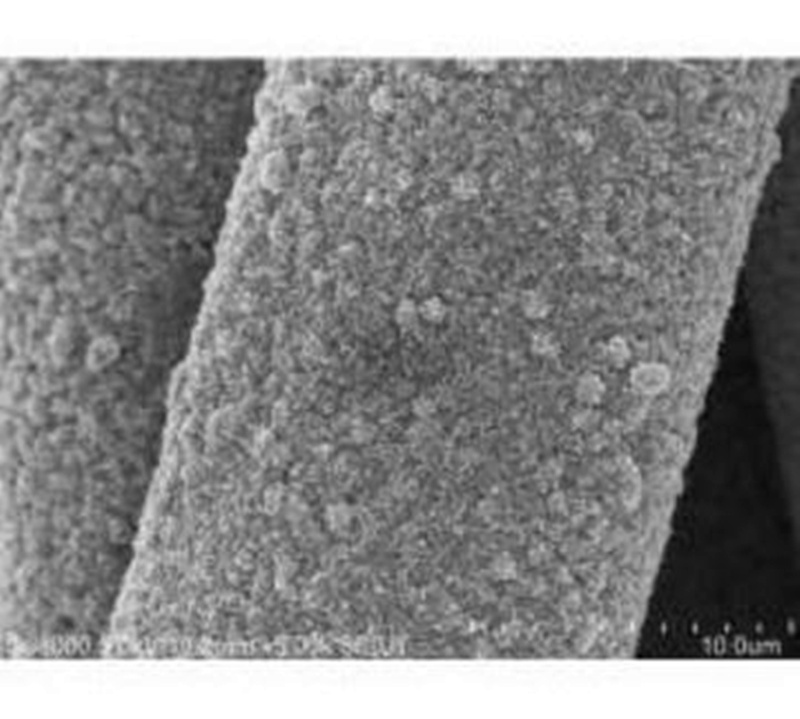 碳布负载硫化钼纳米片阵列