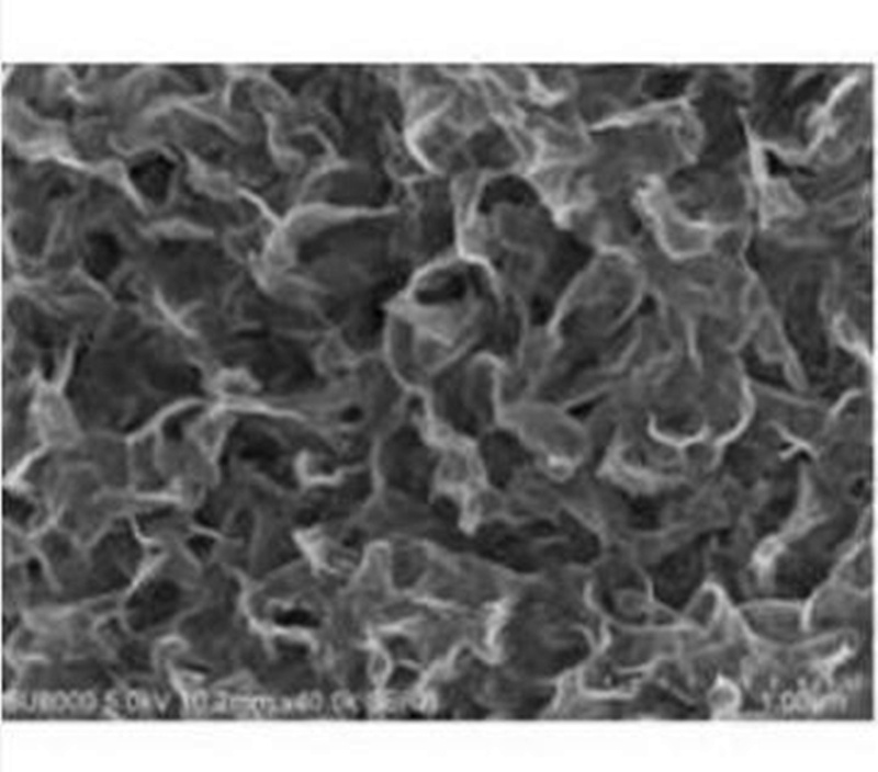 碳布负载硒化钼纳米片阵列