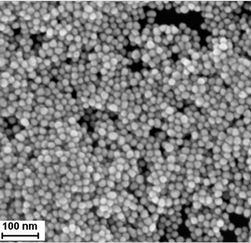 PEG modified Au Nanoparicles 100nm
