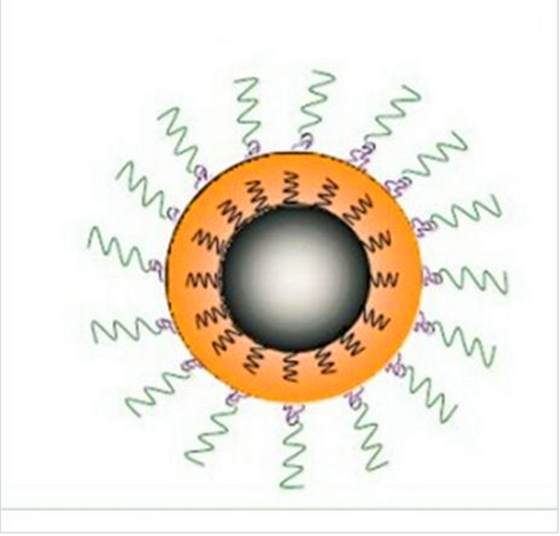 PEG modified Mn-Zn Ferrite NanoparticlesCarboxyl terminal
