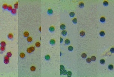Color latex microspheres 6-10um