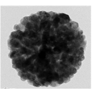 Zinc oxide (ZnO) nanoparticle powder