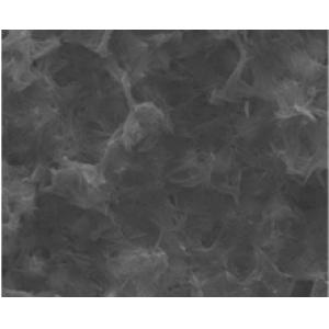 Cerium dioxide (CeO2) nanowires