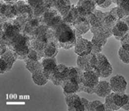 High specific surface mesoporous carbon