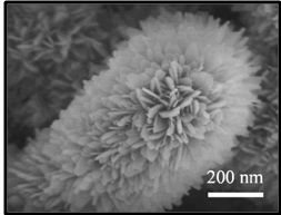 Titanium carbide carbon nitrogen doped lithium titanate core-shell array