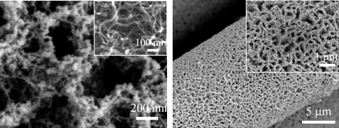 Vertical graphene composite carbon nanotube array