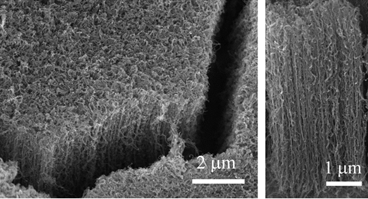 Vertical carbon nanotube arrays loaded on different substrates
