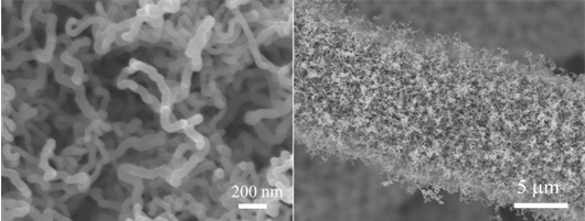 Carbon nanotube/zinc oxide core-shell arrays supported on different substrates