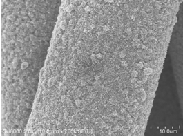 碳布负载碳纳米管/硒化钼薄膜复合材料