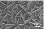 Three-dimensional porous nickel/nitrogen-doped carbon nanosheet composite film