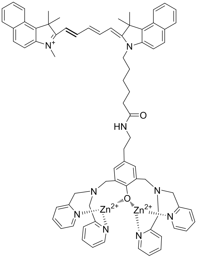 ӫ̽ ZnDPA-Cy5.5