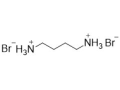 1,4-butanedi ammonium BromideSynonym