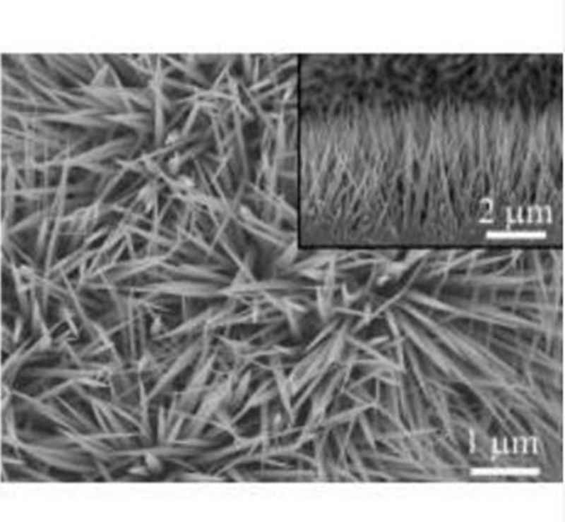 Nickel plate supported mesoporous oxycobalt nanowire array