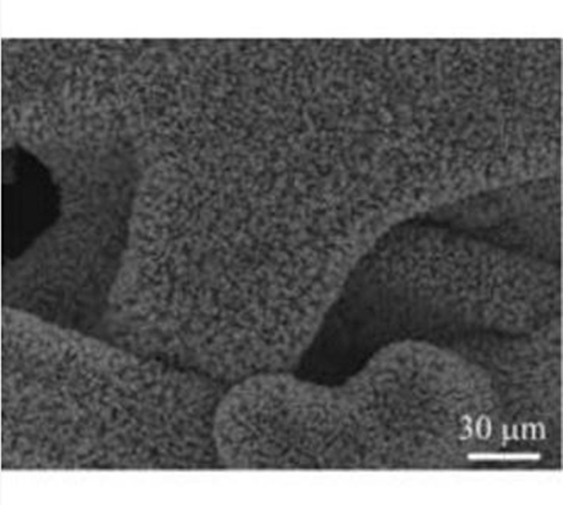 Foam nickel supported mesoporous oxycobalt nanowire array