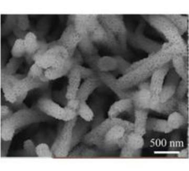Foam nickel supported cobalt oxide/nickel oxide (CoO/NiO) core-shell nanowire array