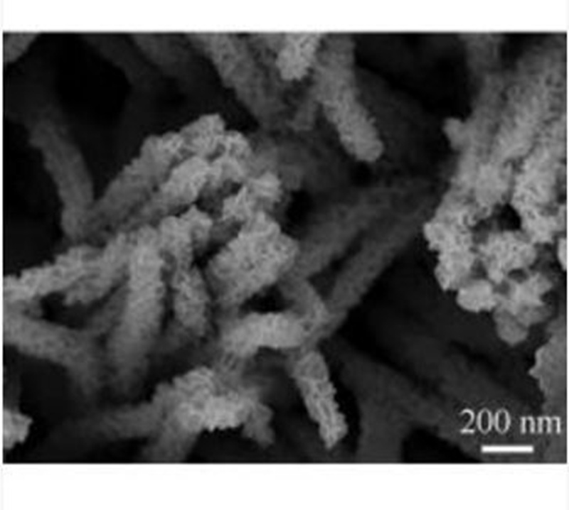 Titanium sheet supported cobalt oxide/nickel oxide (CoO/NiO) core-shell nanowire array