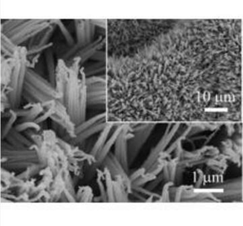 Foam nickel graphene supported metal cobalt nanowire array
