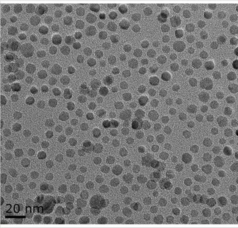 油酸修饰的四氧化三铁磁性纳米颗粒（高温热解法）