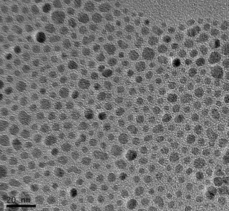 油酸修饰的四氧化三铁磁性纳米颗粒