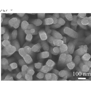 Titanium dioxide/polypyrrole (TiO2/PPY) core-shell nanorod array