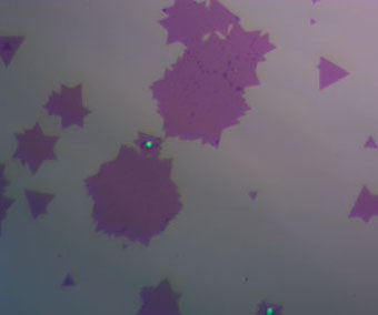 CVD 二硒化钼：MoSe2 孤立晶粒