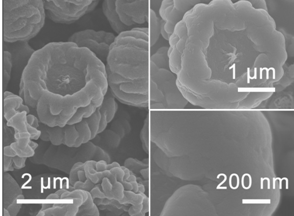 碳微米球粉体