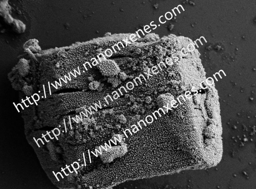 多层Ti3C2 MXene原位负载纳米银
